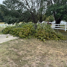 Tree-Debris-Removal-Storm-Cleanup-in-Oxford-MS 1